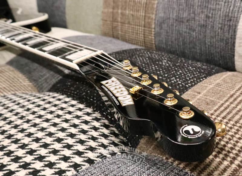 FREEDOM CUSTOM GUITAR RESEARCH 2021 Black Pepper | Reverb Canada