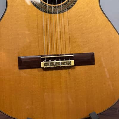 Antonio Picado 62 2011 image 6
