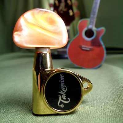 Chitarra Takamine Spalla Mancante Auditorium Electro Noire - Foto 8