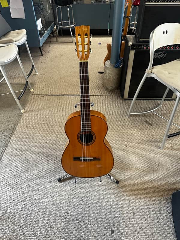 Giannini AWN-60 mid 1970s - Brazilian Rosewood image 1