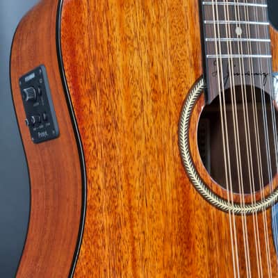 H. Jimenez LGD1-CENM  Glossy Guitarra Doble  Glossy Natural Mahogany Cutaway Electric with Hard wood case... image 3