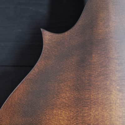 Eastman MD315 F-Style Mandolin Solid Wood / Hand Crafted image 16
