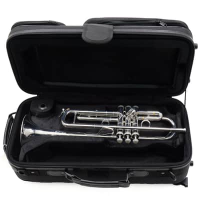 S.E. Shires Model Q10RS Q-Series Professional Bb Trumpet SN Q3825 image 16