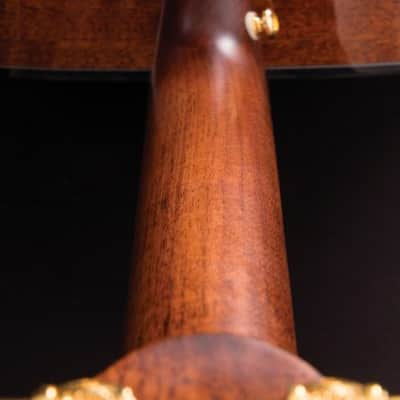 Cort All Solid Woods Gold Series A6 Auditorium w/ Fishman Flex Blend Electronics, Case image 23