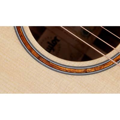 Taylor Custom #30 C16CE Grand Symphony Acoustic Electric Guitar image 11