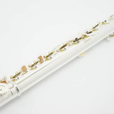 Muramatsu GX-RHE 「GX-RBE」 Open hole, H(B) foot, split E mechanism, offset G / made in Japan image 14