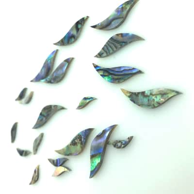 Immagine Set of 20 Fretboard Inlays - Abalone - 3