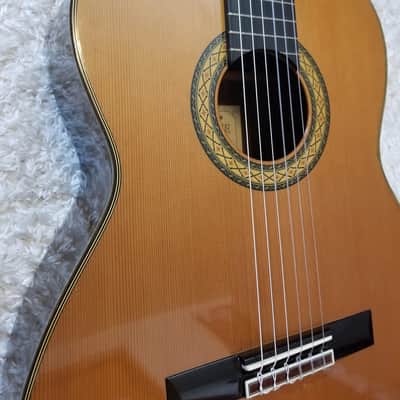 Takamine No.6 in 1988 image 6