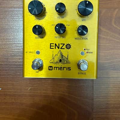 Meris Enzo 2018 - Gold image 1