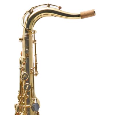 Antigua Winds TS3108LQ Intermediate Tenor Saxophone in Lacquer SN UTS040036 image 9