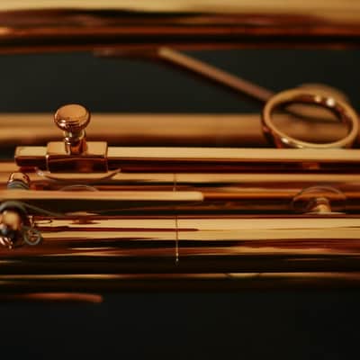Adams A9 Selected Series Trumpet Large Bore in Copper Lacquer! image 14