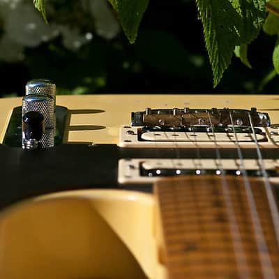ESP Edwards E-TE-118 Relic Jeff Beck Tele-Gib Replica Fender Telecaster image 10