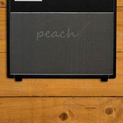 Friedman Twin Sister | 40-Watt Combo image 1