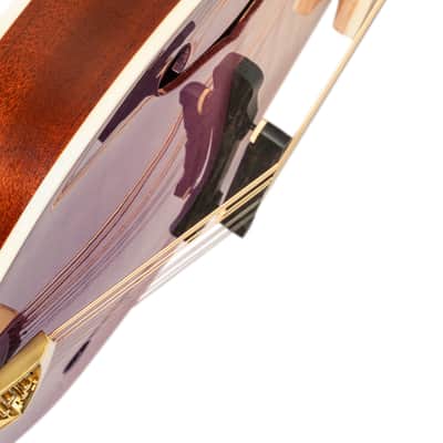 Ortega RMA200PF Americana Series A-Style Mandolin + Croco Leather Case image 16