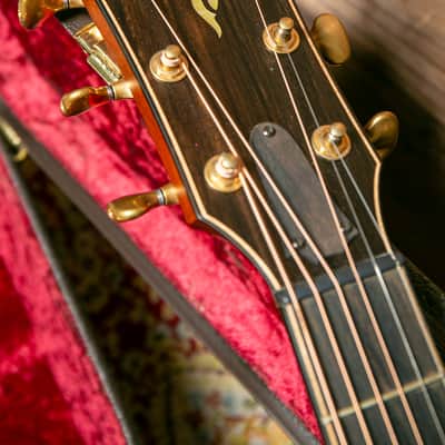 Taylor 50th Anniversary LTD Builder's Edition 814ce Grand Auditorium (1 of 1974) 2024 image 5