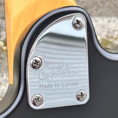 Godin Guitar Session HT image 10