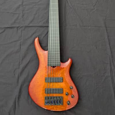 Roscoe SKB 6-string fretless bass image 1