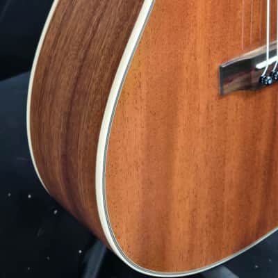 Zager Parlor E/N with case image 3