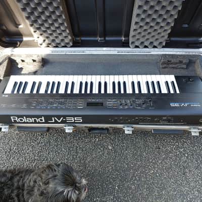 Roland JV35 Expandable SynthesizerIncluding Case image 3