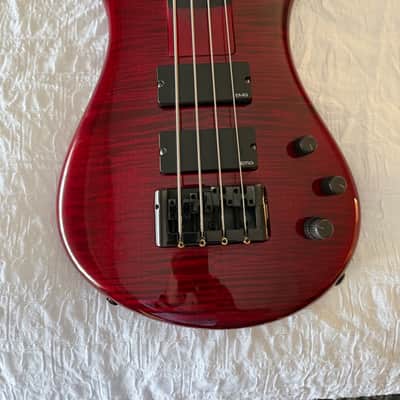 Spector Bantam 4 - Black Cherry image 1