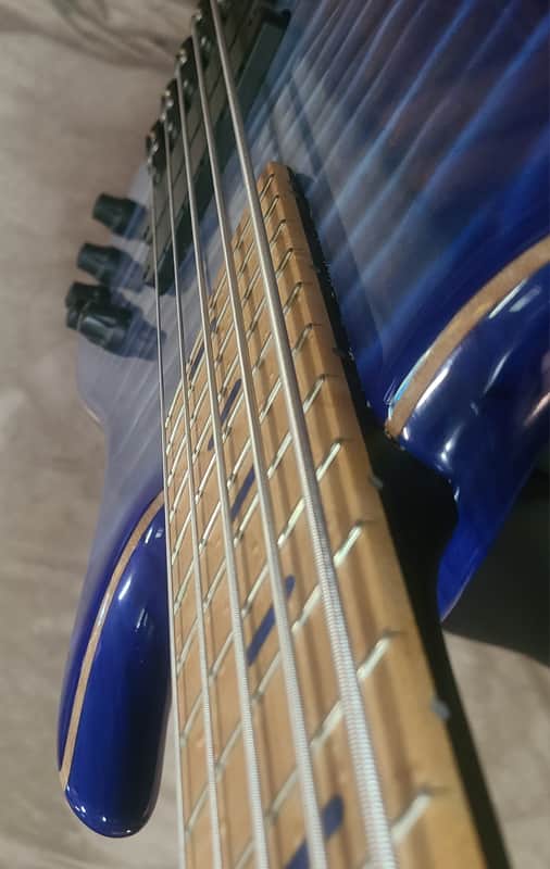 Dingwall Z2 5-String | Reverb