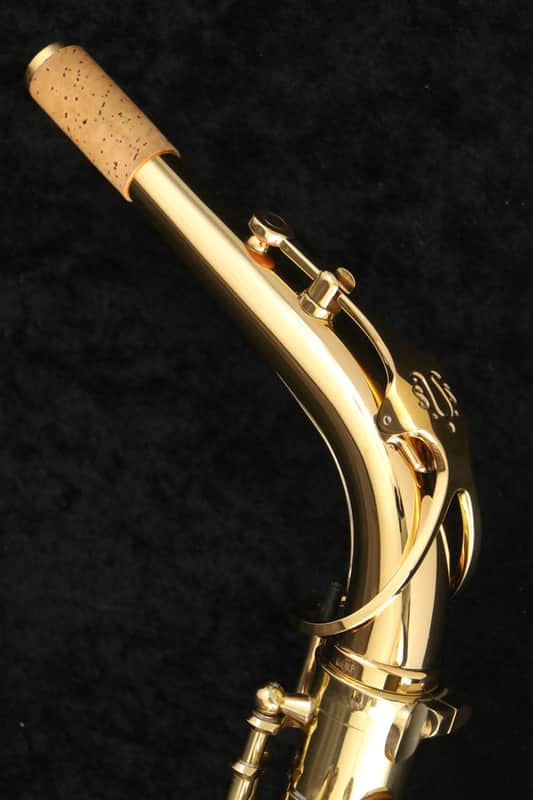 YANAGISAWA Yanagisawa Alto A-901 GP Neck Alto Saxophone (05/25