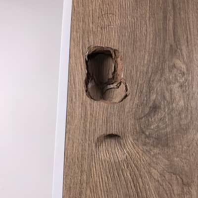 Elac Debut Reference DFR52 Tower Speaker (White/Oak) image 9