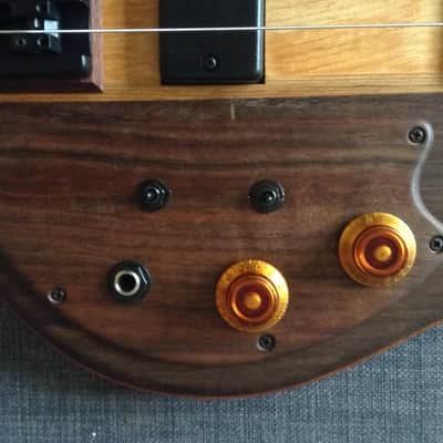 Carl Thompson 5 String Semi-Frills Fretted 2016 Natural image 11