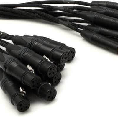 Mogami Gold 8 TRS-XLR F-20 8-Channel Analog Snake Cable, 8x 1/4" TRS Male to 8x XLR Female, 20' image 2