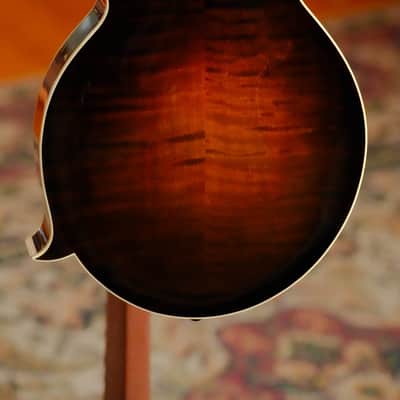 Gold Tone Grandmaster Mandolin Elite - Burst Finish #5307 image 9