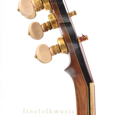 Rare 1910s Goodman Nulli Secundas 5-String Banjo image 3