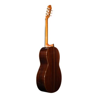 6 String Contrabass Guitar (Octave Bass) - Esteve PS75 - All Solid Wood/Cedar/Indian Rosewood - 750mm Scale Length image 12