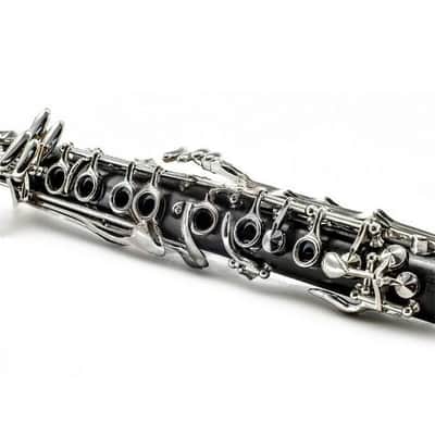 New High Quality Bb Ebonite Clarinet Package German Style Nickle Silver KeysNew High Quality Bb Ebonite Clarinet Package Style Nickle Silver Keys image 2