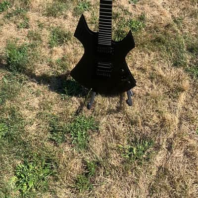 Custom R L James Guitar Custom Animal 2026 - Custom image 10