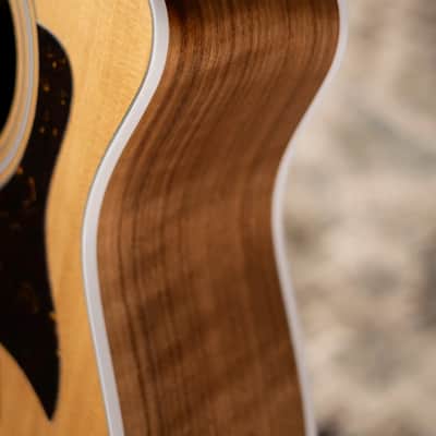 Taylor 214ce Grand Auditorium Acoustic/Electric Guitar with Gig Bag image 14