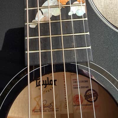 Taylor Custom #48 C22 ce 2025 - Dark Turquoise Metallic image 10