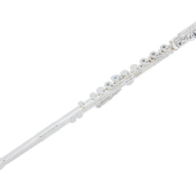 Pearl *Pre-Order* Flute Quantz 665 Series Offset-G/B-Foot/Open Hole Maintenance Kit, Case | WorldShip | Special Order | Authorized Dealer image 3