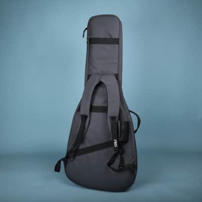PRS SE John Mayer Silver Sky, Paul Reed Smith Guitar Gray GIG BAG image 2