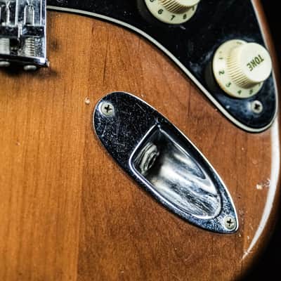 1973 Fender Stratocaster walnut image 10