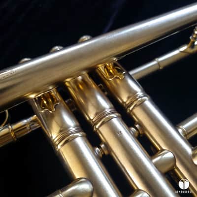 WOW Martin Handcraft goldplated with case and two mouthpieces GAMONBRASS image 21