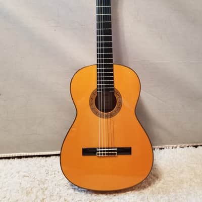 Aria Flamenco AC-150F (Spain) image 10