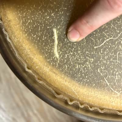 Pearl 11" Elite Series Congo With Damaged Head image 4