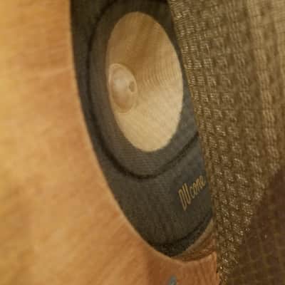 Akai 6" Du cone DUcone AlNiCo speaker driver 6 Ohm 8 Ohm 4 Watt and grille and cloth SS-40 6P-W1SB 1960s image 14