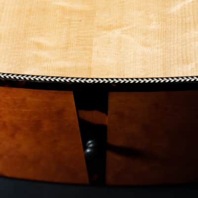 Eastman E16SS-TC-LTD, Thermo-Cured Bearclaw Adirondack, Birdseye Maple, Limited image 3