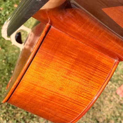 Westbury Eastman cello 4/4 - Hand varnish image 12