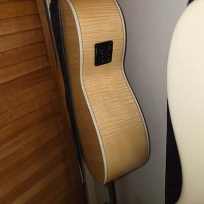 D'Angelico Excel Mott Grand Auditorium Cutaway Acoustic Bass with Electronics 2010s - Natural image 11