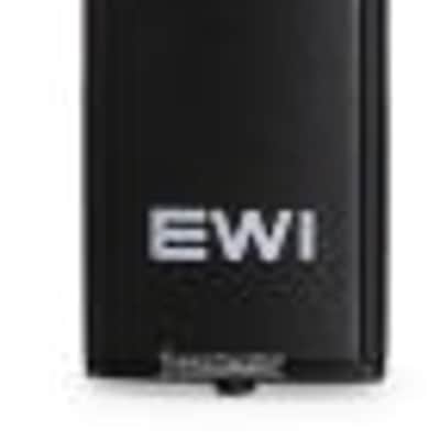 Akai Professional EWI 5000 Electronic Wind Instrument / MIDI Controller (EWI5000d2) imagen 7