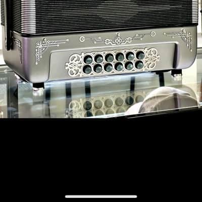 Accordion Pedraza 2024 - Matte metallic image 1