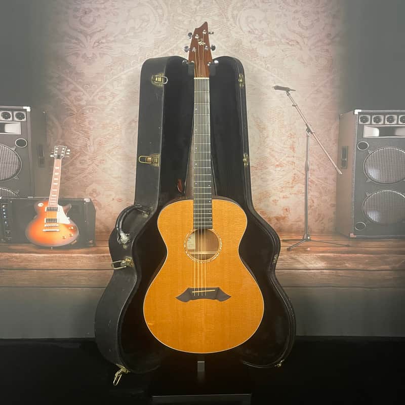 Breedlove SC20/MH 1997 - Steve Henderson - German Spruce - Mahogany image 1