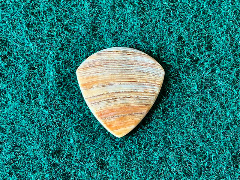 Seashell guitar pick/2.7mm thick, jazz profile, grip surface … by BeachSidePicks image 1